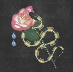 SadGirl - Limited Edition Vinyl Compilation | Suicide Squeeze Records