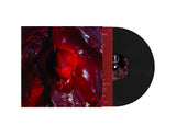 Not Here Not Gone **PRE-ORDER**